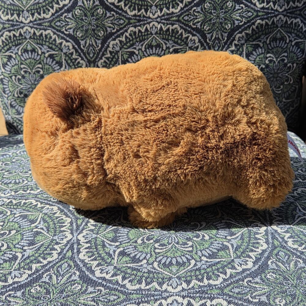 Aurora - Spudsters - 10.5" Carmen Capybara Adorable Stuffed Animal NWOT - Picture 3 of 6